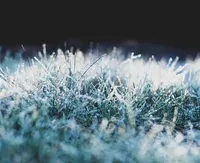 How to check Virtual Machine (VM) freeze logs in VMware